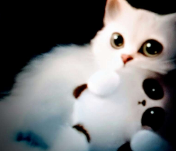 Meet your Posher, Ruthanne - Picture 3 of 3